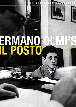 ����������Ҫ����