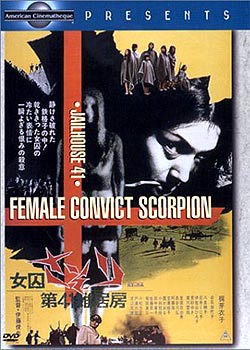 ��41��Ů����