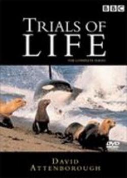 ����δ��1����������֮Դ