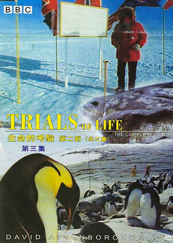 �����Ŀ���