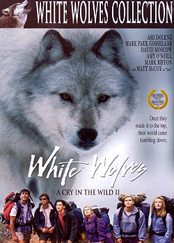 ���Ǹ�����