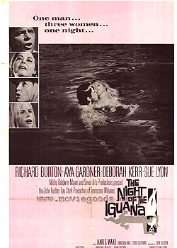 ��ɽ����ҹ