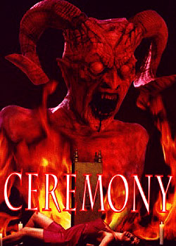 ��ʹ������