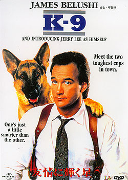 ��̽������