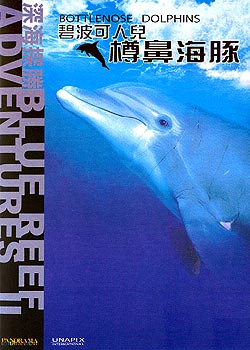 �̲����˶��ױǺ���