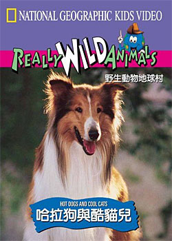 ���������è��