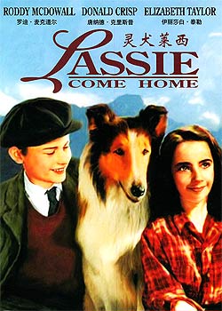 ��Ȯ����