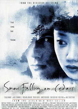 ���ڱ�ѩ�׷�ʱ