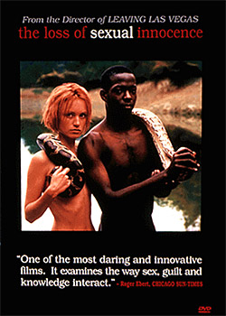 ��ʧ����