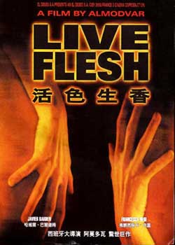 ��ɫ����