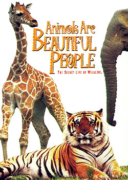 �ɰ��Ķ���