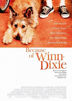 ���Ǵ����ǵĻ�