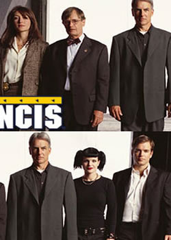 �����ﰸ���鴦