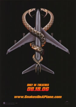 �����߻�