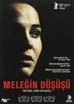 ������ʹ