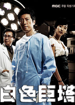 ��ɫ����