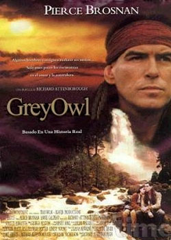 ���ס��¶�