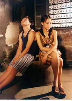 ������͸����