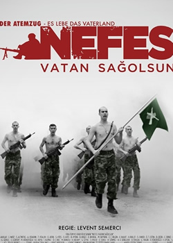 �����º���