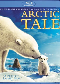 ������˵