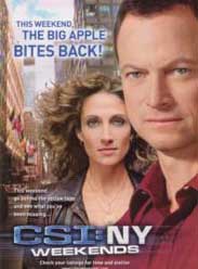 �����ֳ������ʮ�ļ�