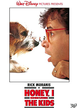 �װ�������