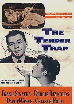 ������ݾ�