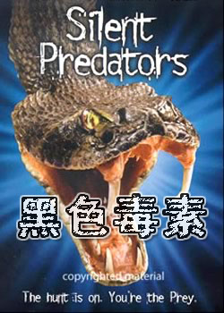 ��ɫ����