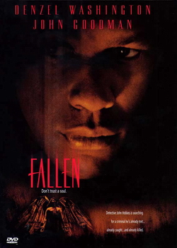 ������Ӧ