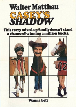 ��������Ӱ