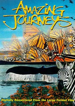 ����֮��