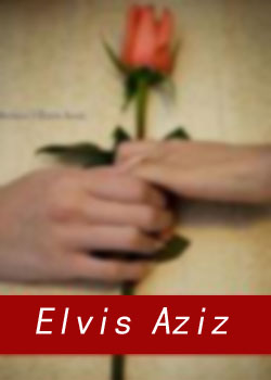 ����ά˹��������