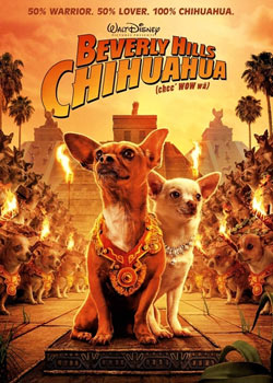 �ȷ����ݽ�