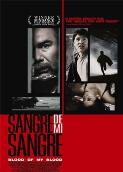 ���ǵĸ���