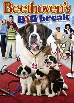 ���Ǳ����