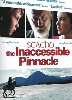 ���׿���