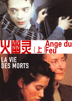 ������(��)