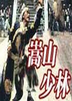 ������ɽ������