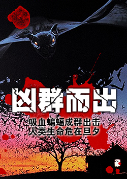 ��Ⱥ����