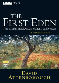 ���������԰