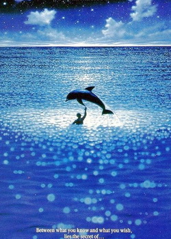 �̺�����