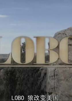 �Ǹı�����