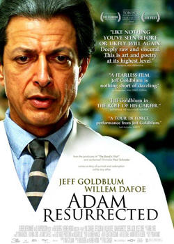 ���ѵ��ǵ�