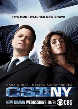 �����ֳ����������