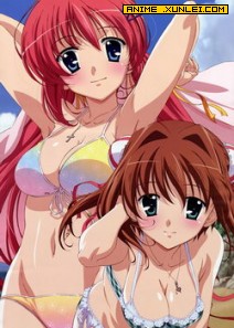 ������II �ڶ���