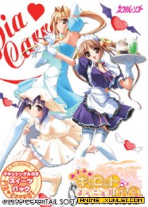 �����֮���糡�� ɴҲ�ӵ���������