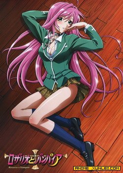 ʮ�ּ�����Ѫ��