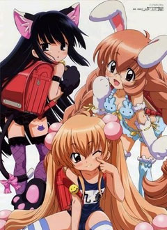 ���ӵ�ʱ��