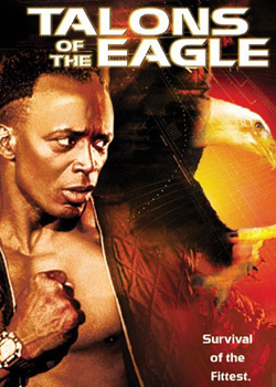 ��������ڶ���