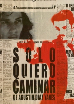 ��ֻ��������